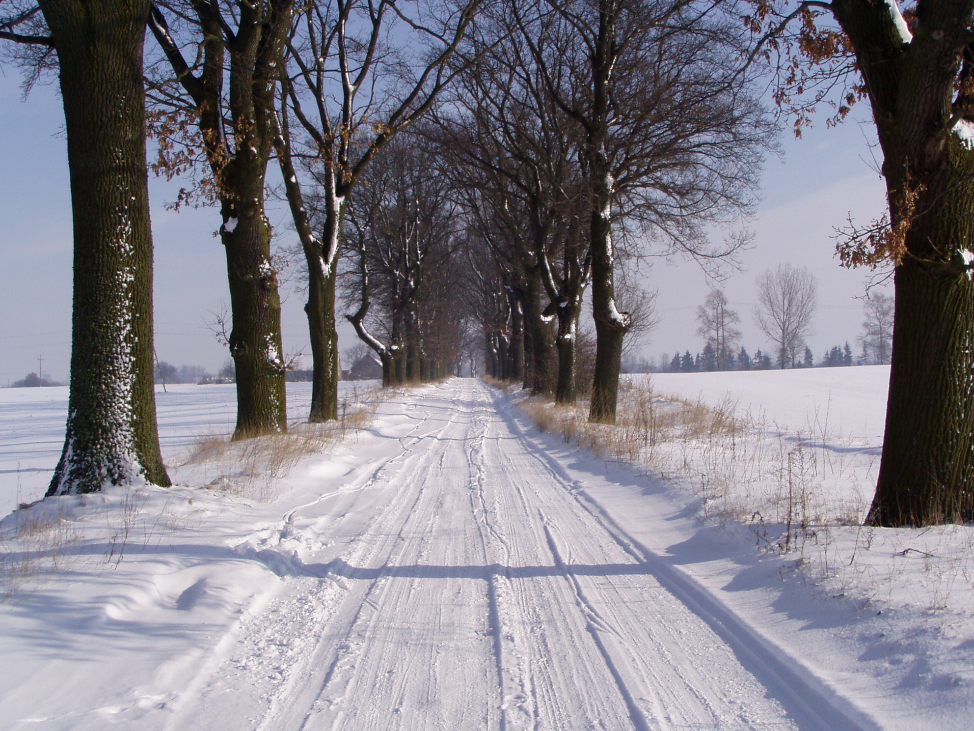 Winter road